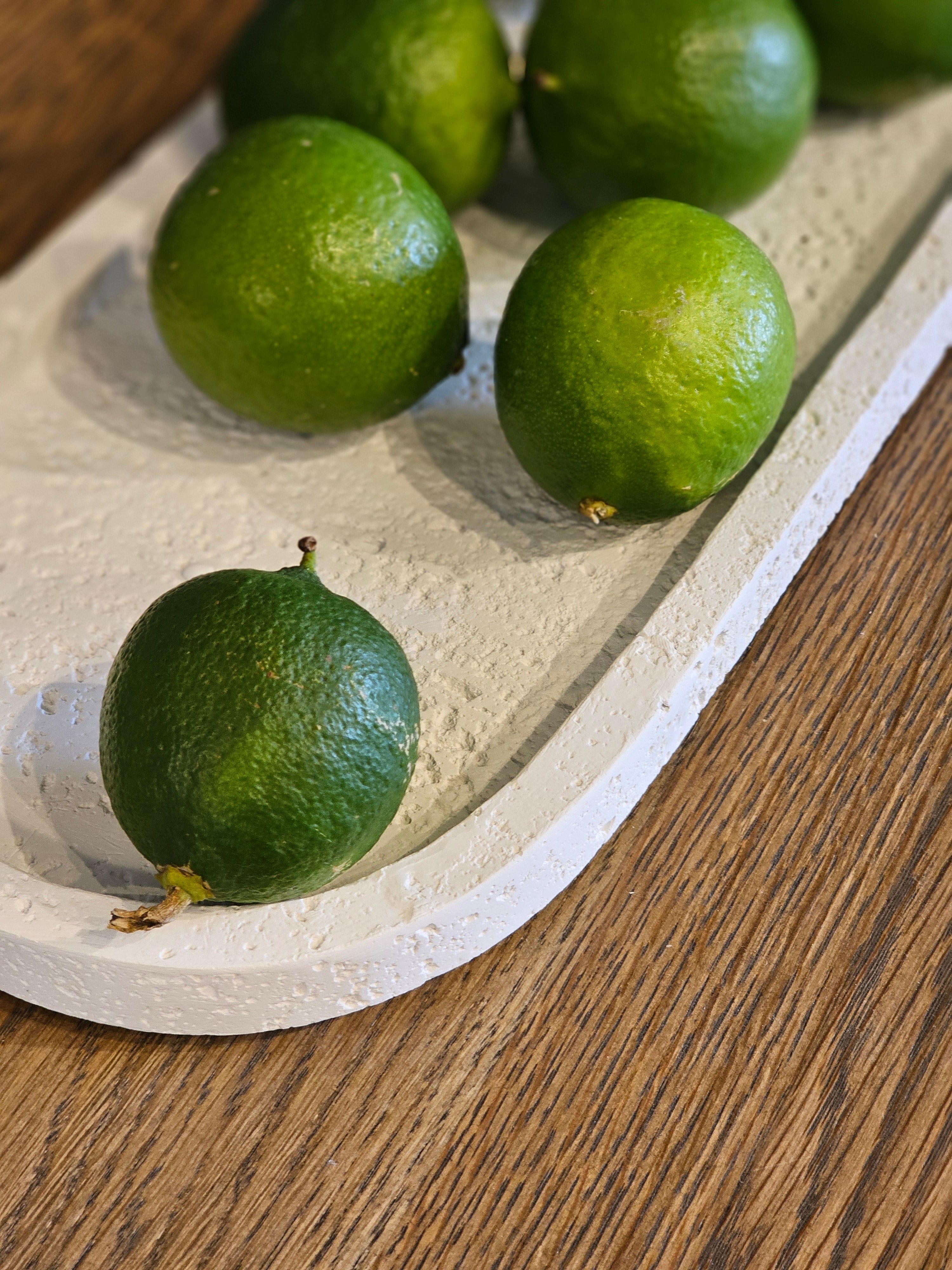 Haven & Space Berry ACCESSORIES 45x12cm Vamos Cement Oval Tray