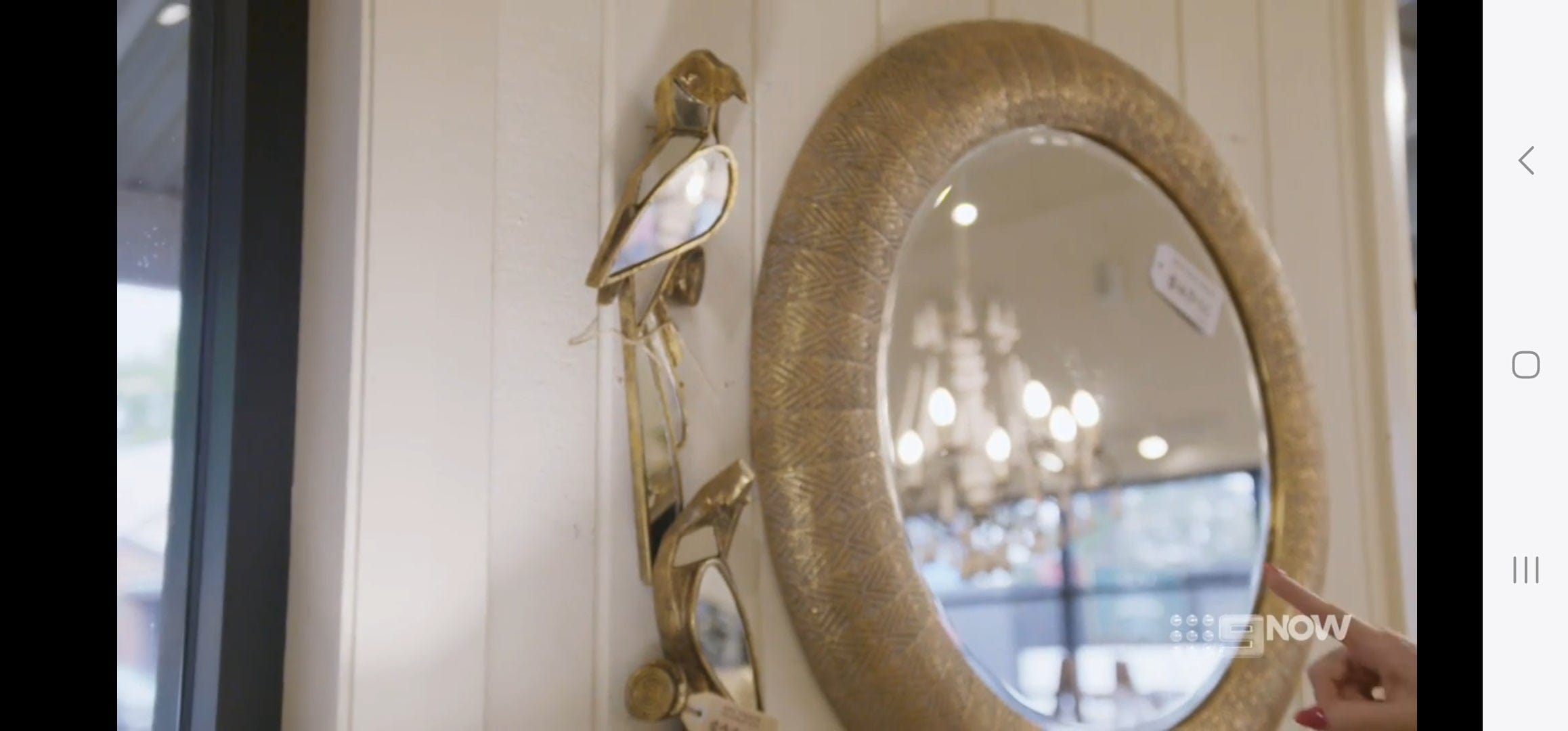 Haven & Space Berry ACCESSORIES Goldie Parrot