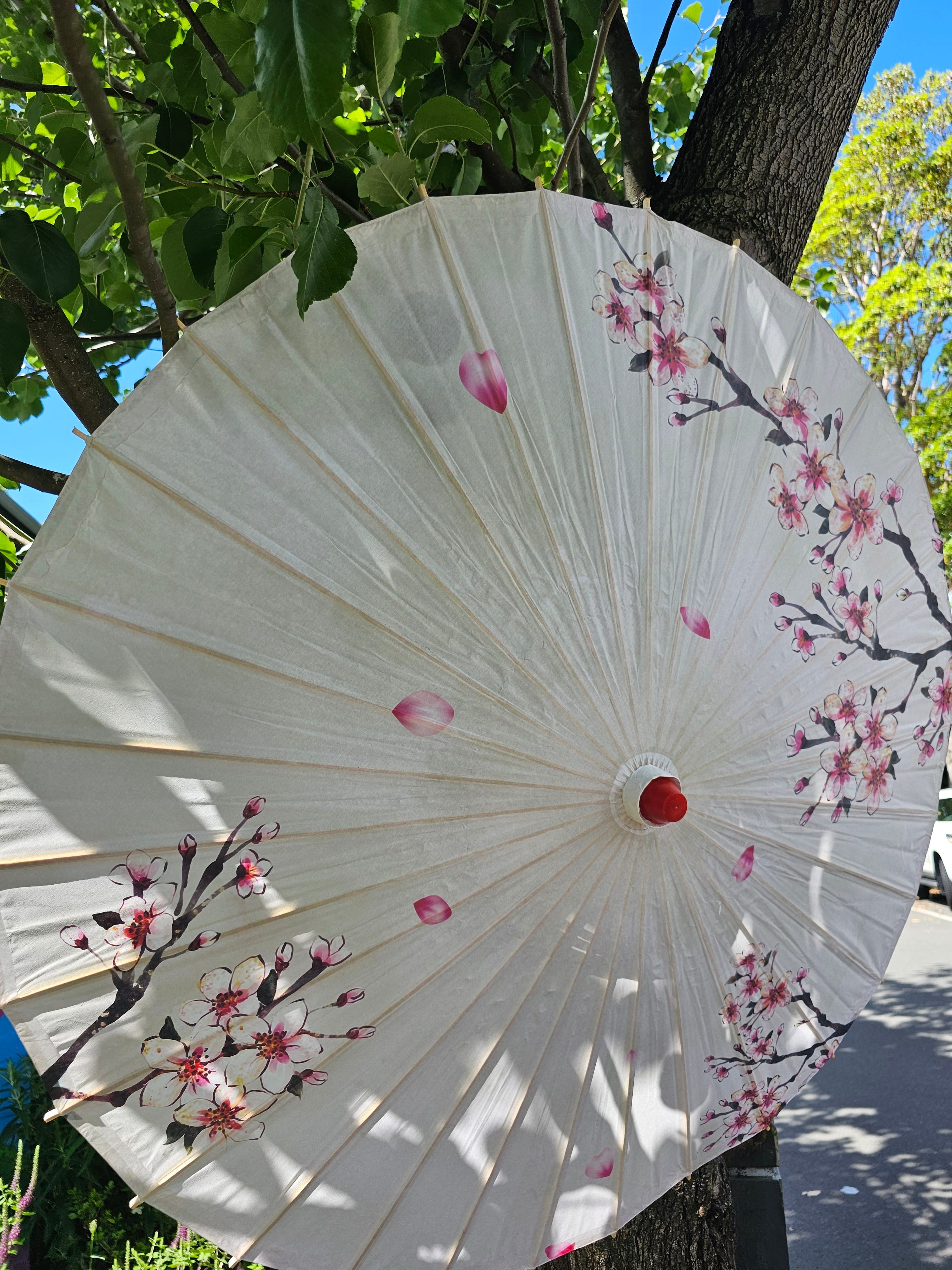 Haven & Space Berry ACCESSORIES Paper Parasol