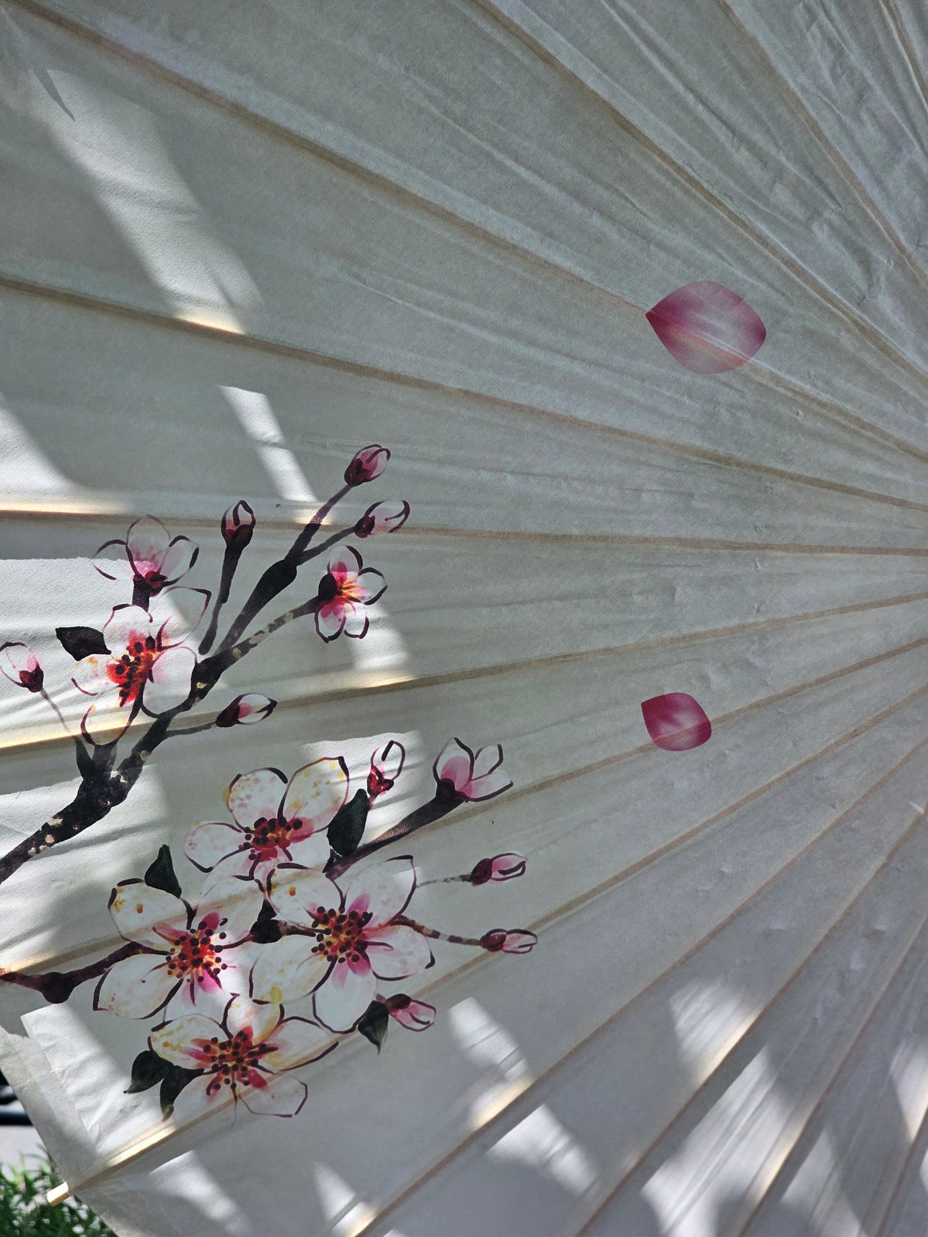 Haven & Space Berry ACCESSORIES Paper Parasol