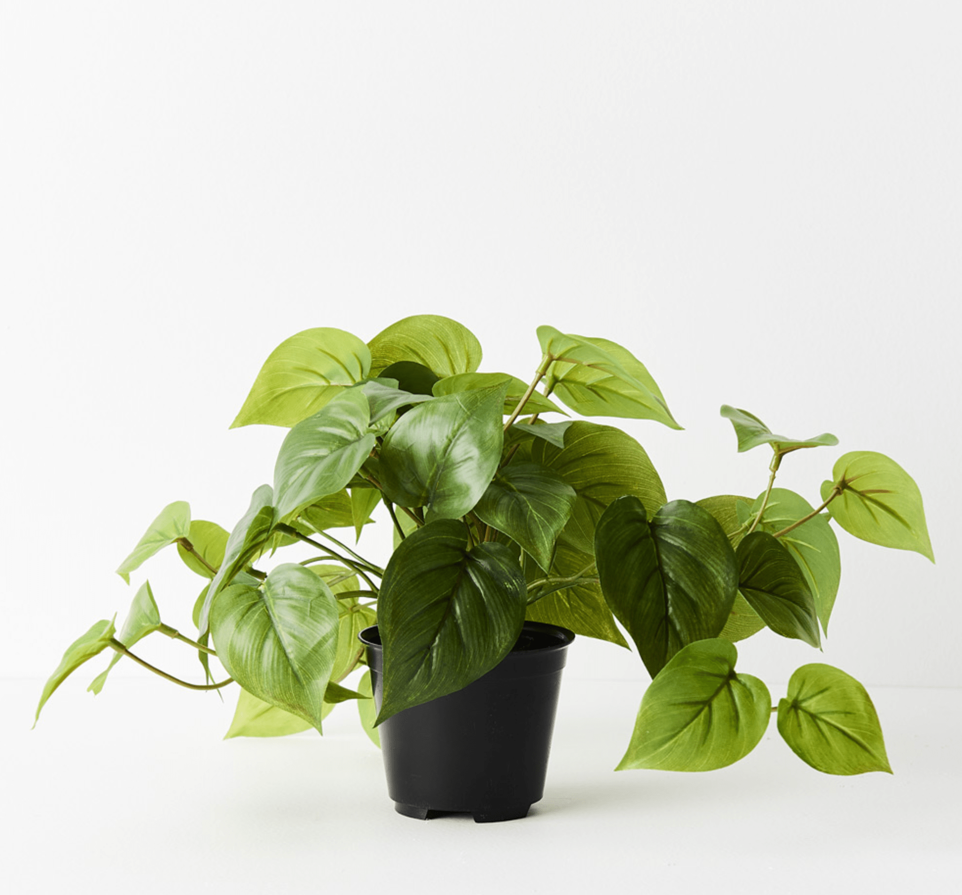 Haven & Space Berry ARTIFICAL FLOWERS 19cm Potted Philodendron