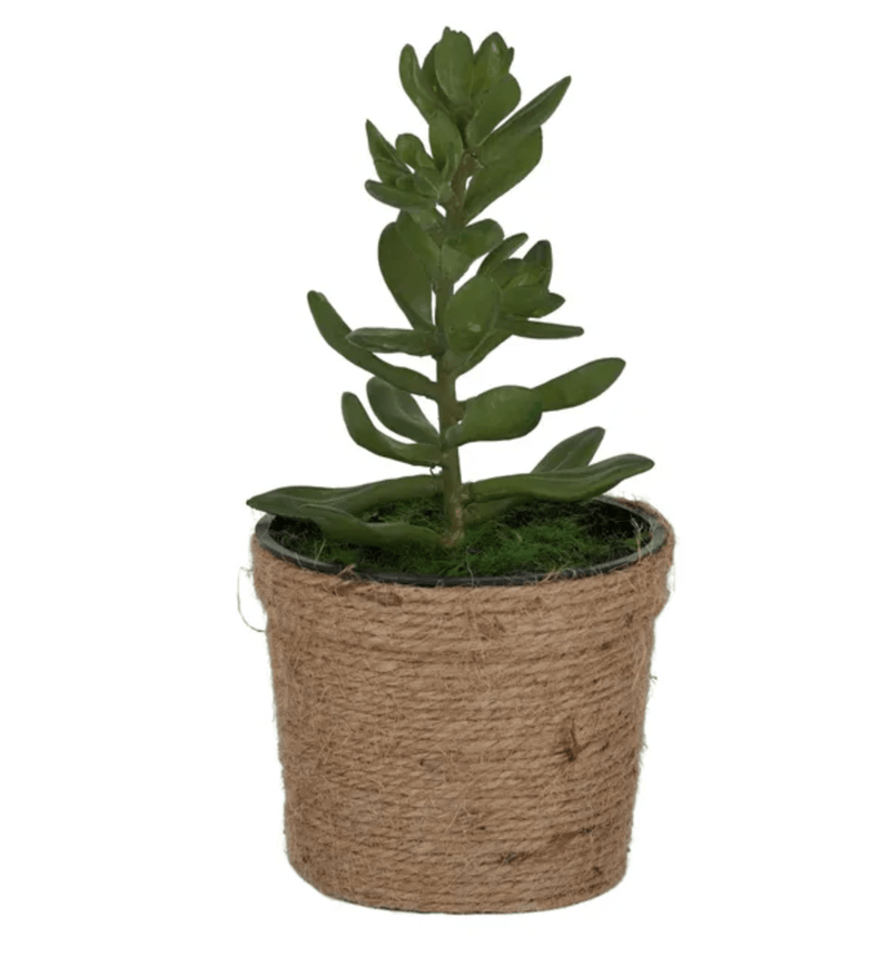 Haven & Space Berry ARTIFICAL FLOWERS 20cm Rope Potted Succulent