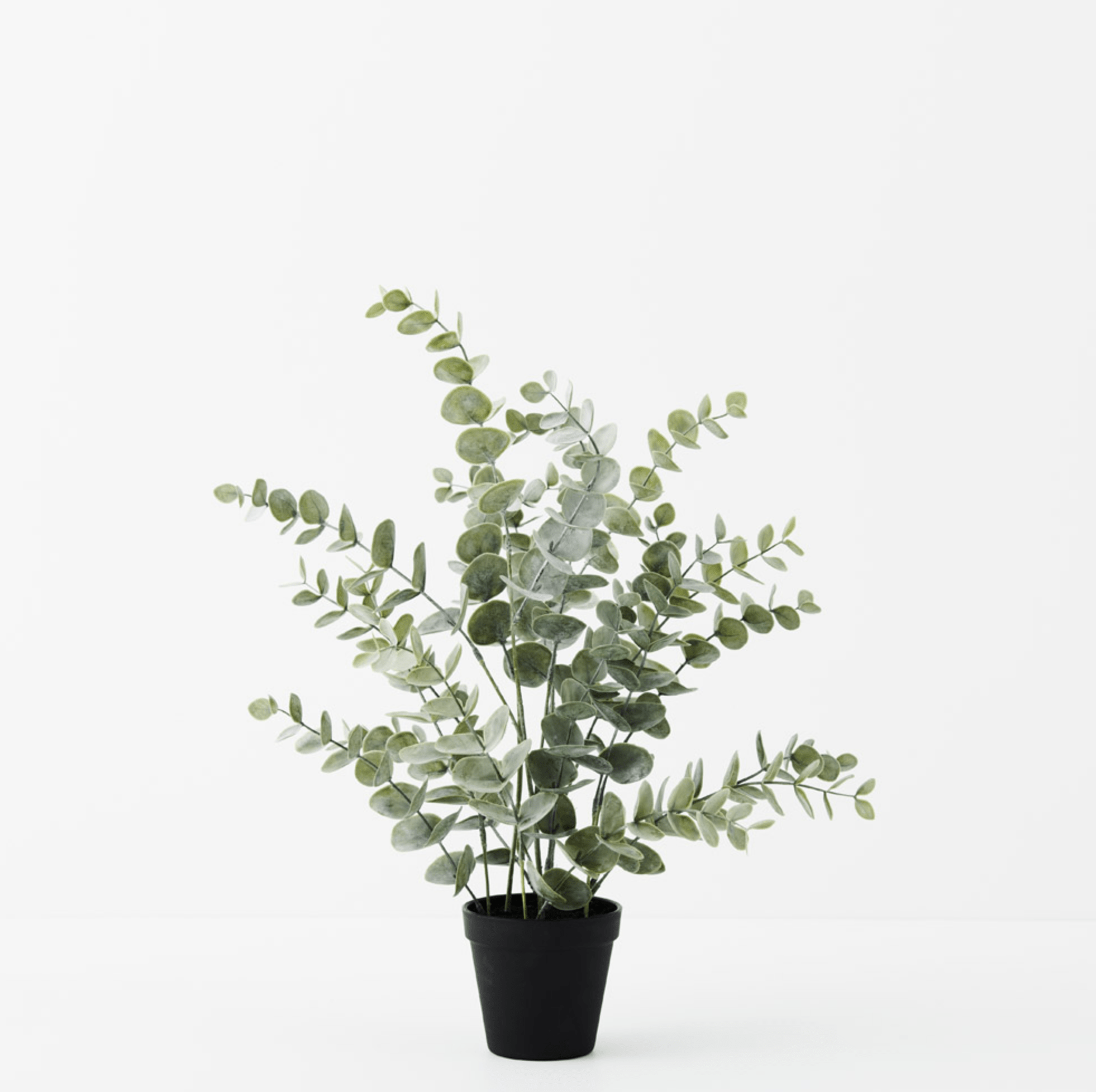 Haven & Space Berry ARTIFICAL FLOWERS 53CM / Green Potted Eucalyptus