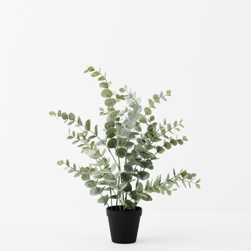 Haven & Space Berry ARTIFICAL FLOWERS 53CM / Green Potted Eucalyptus