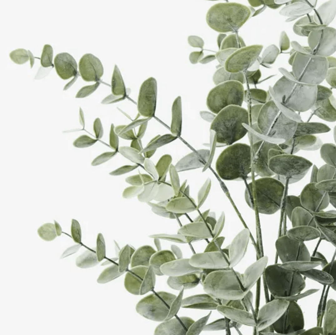 Haven & Space Berry ARTIFICAL FLOWERS 53CM / Green Potted Eucalyptus