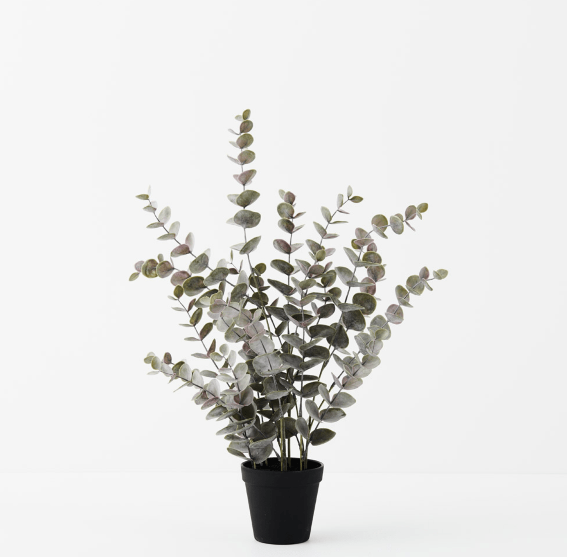 Haven & Space Berry ARTIFICAL FLOWERS 53CM / Grey Potted Eucalyptus