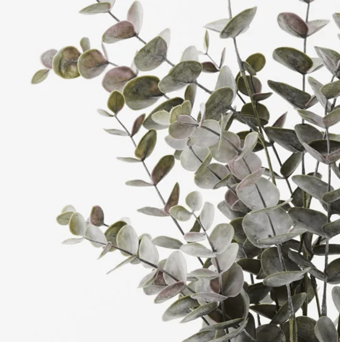 Haven & Space Berry ARTIFICAL FLOWERS 53CM / Grey Potted Eucalyptus