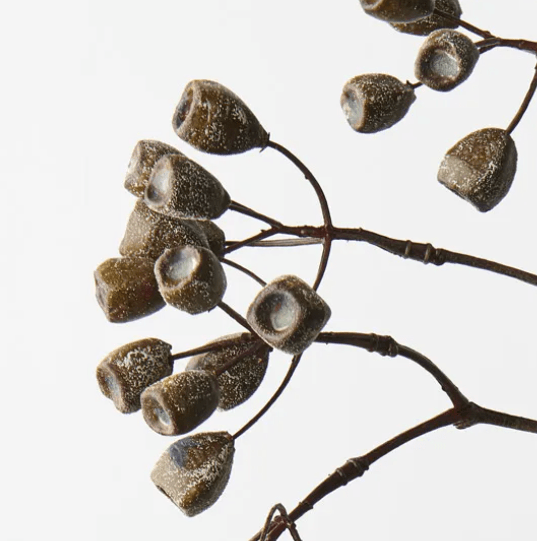 Haven & Space Berry ARTIFICAL FLOWERS 65CM Eucalyptus Tetragona Spray