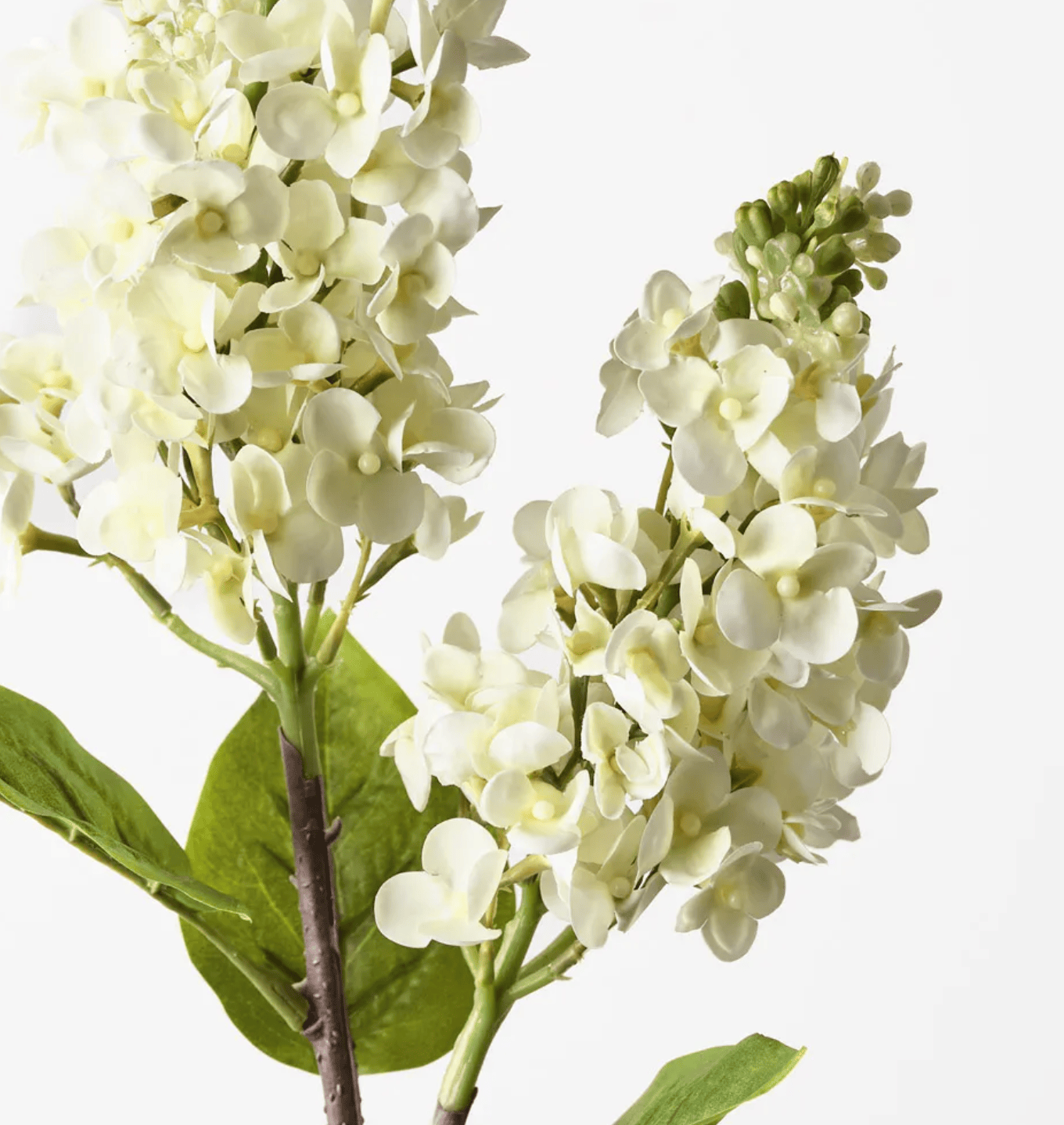 Haven & Space Berry ARTIFICAL FLOWERS 67cm / Cream Lilac Spray