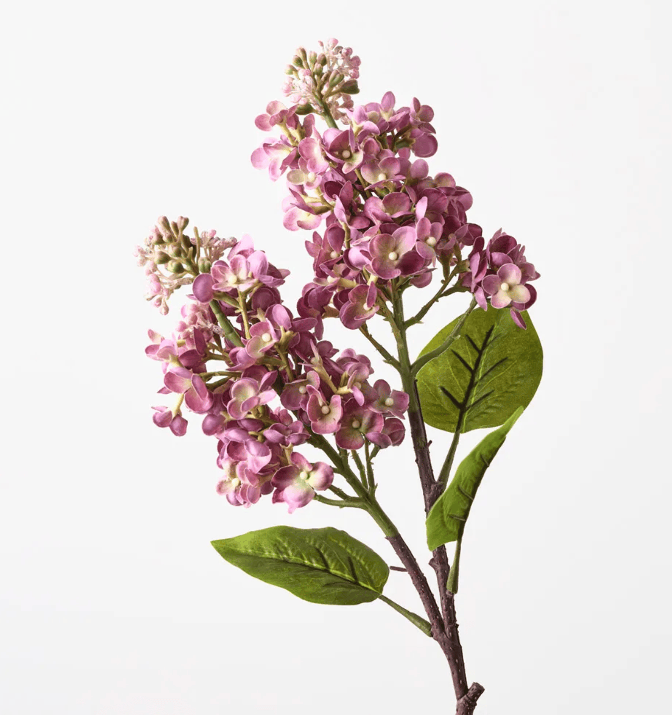 Haven & Space Berry ARTIFICAL FLOWERS 67cm / Mauve Lilac Spray