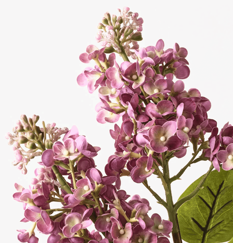 Haven & Space Berry ARTIFICAL FLOWERS 67cm / Mauve Lilac Spray