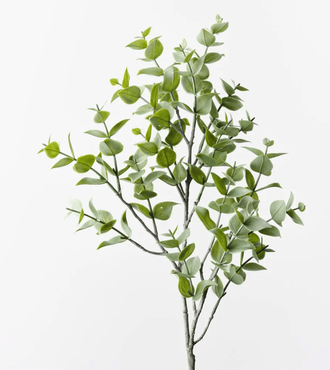 Haven & Space Berry ARTIFICAL FLOWERS 70cm / Green Eucalyptus Spray