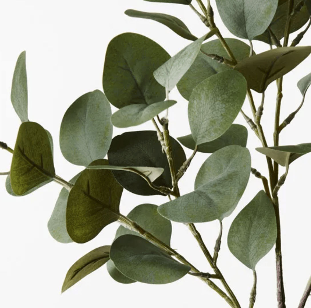 Haven & Space Berry ARTIFICAL FLOWERS 74CM Eucalyptus Spray