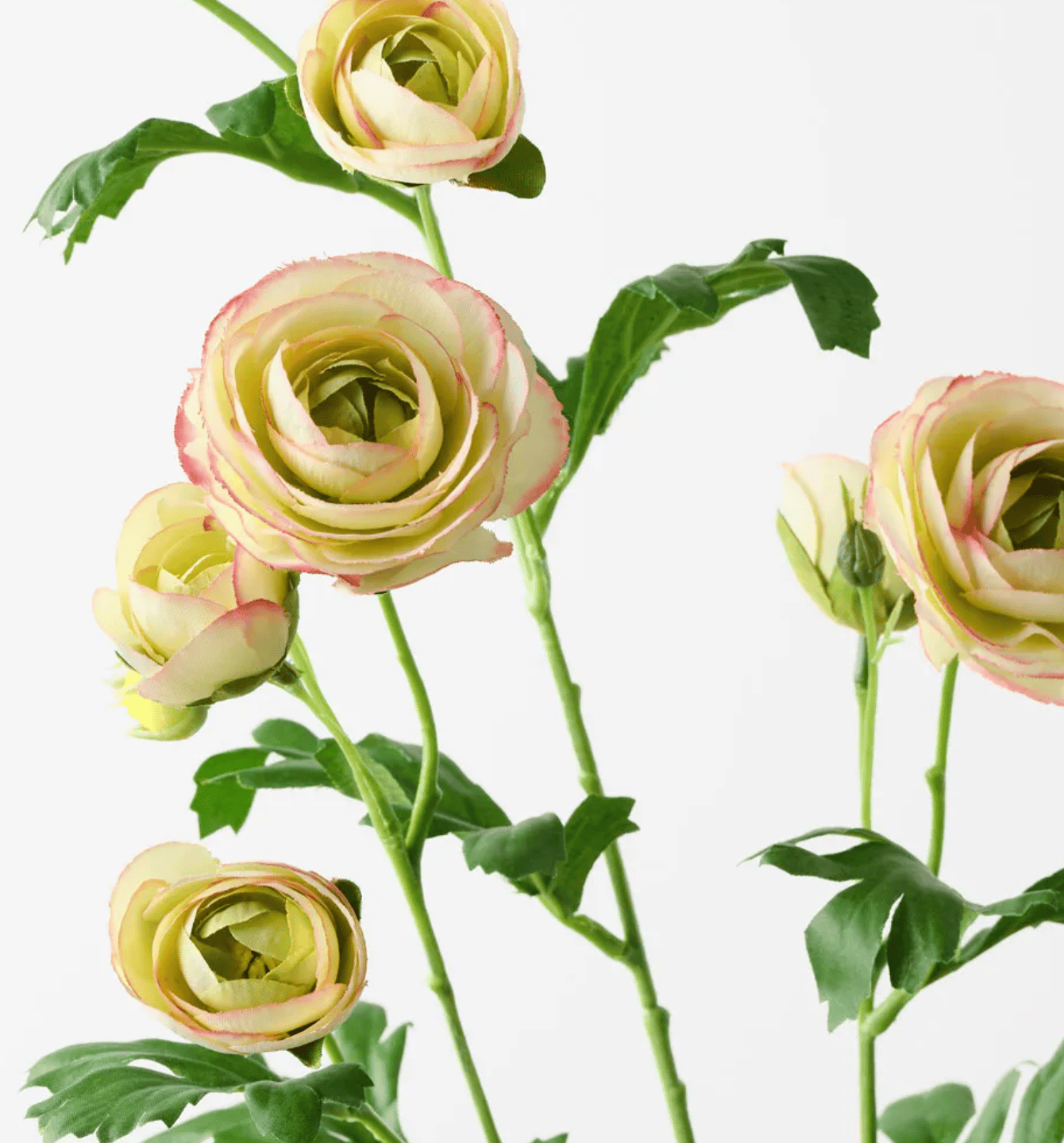 Haven & Space Berry ARTIFICAL FLOWERS 78CM Ranunculus Spray