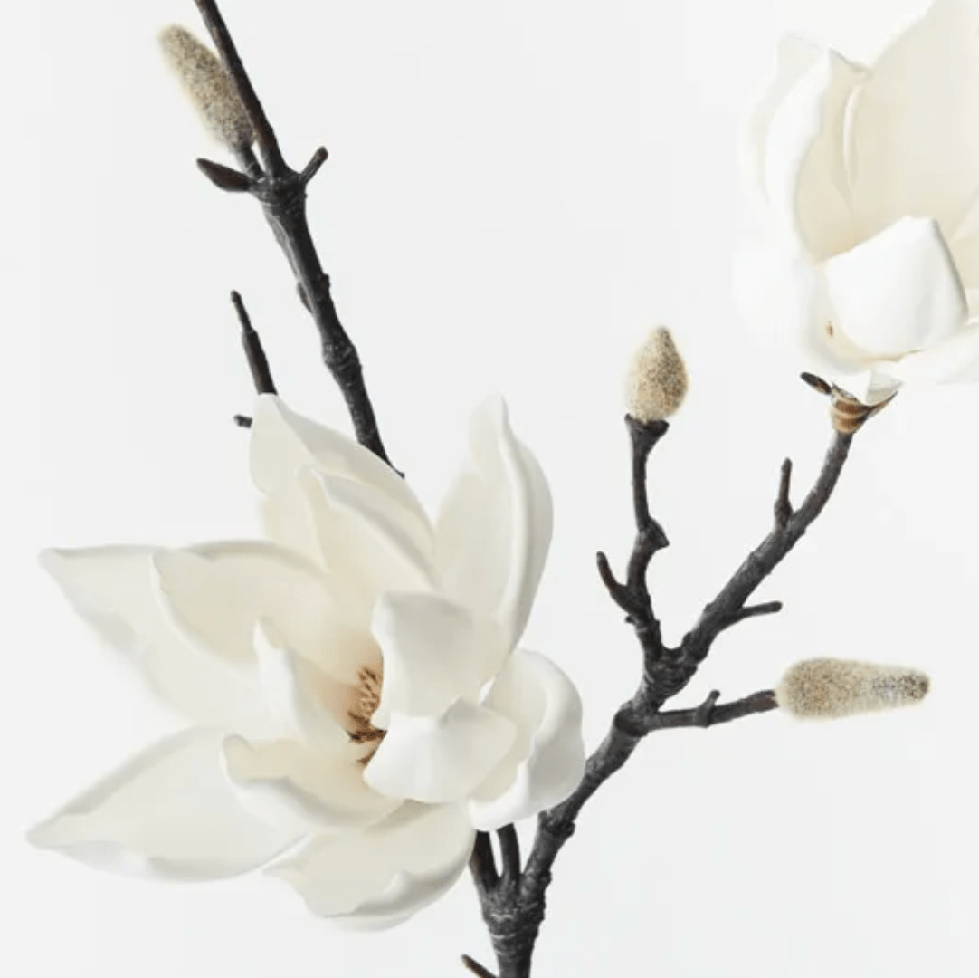 Haven & Space Berry ARTIFICAL FLOWERS 80CM / White Magnolia Japanese Spray
