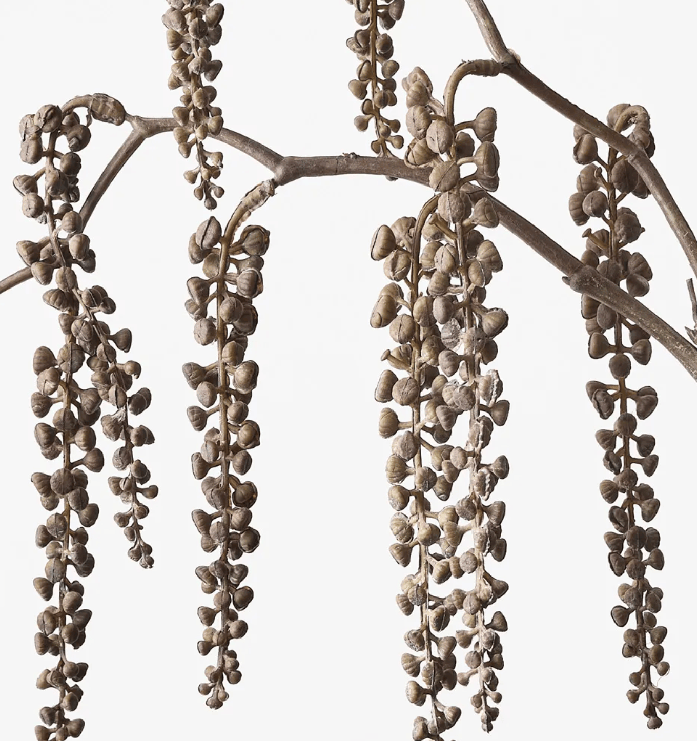 Haven & Space Berry ARTIFICAL FLOWERS 81CM / Coffee Pokeberry Spray