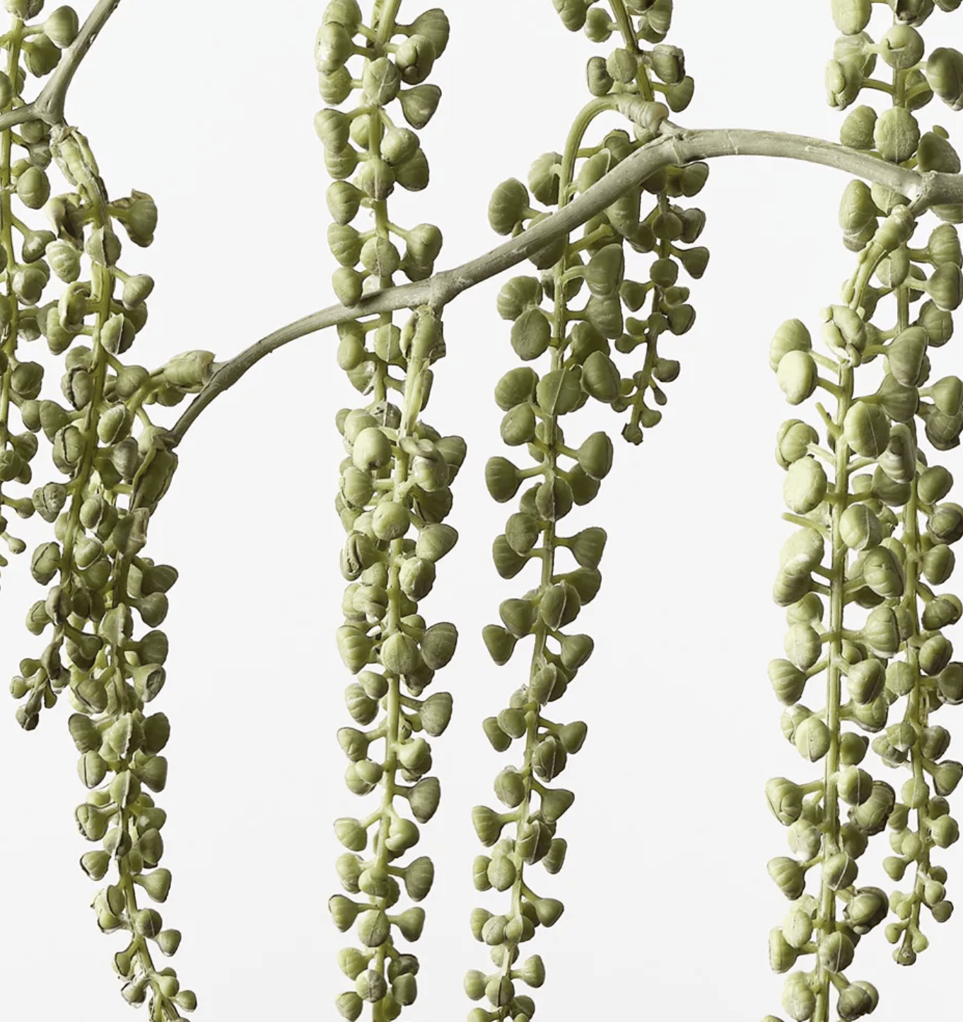 Haven & Space Berry ARTIFICAL FLOWERS 81CM / Green Pokeberry Spray