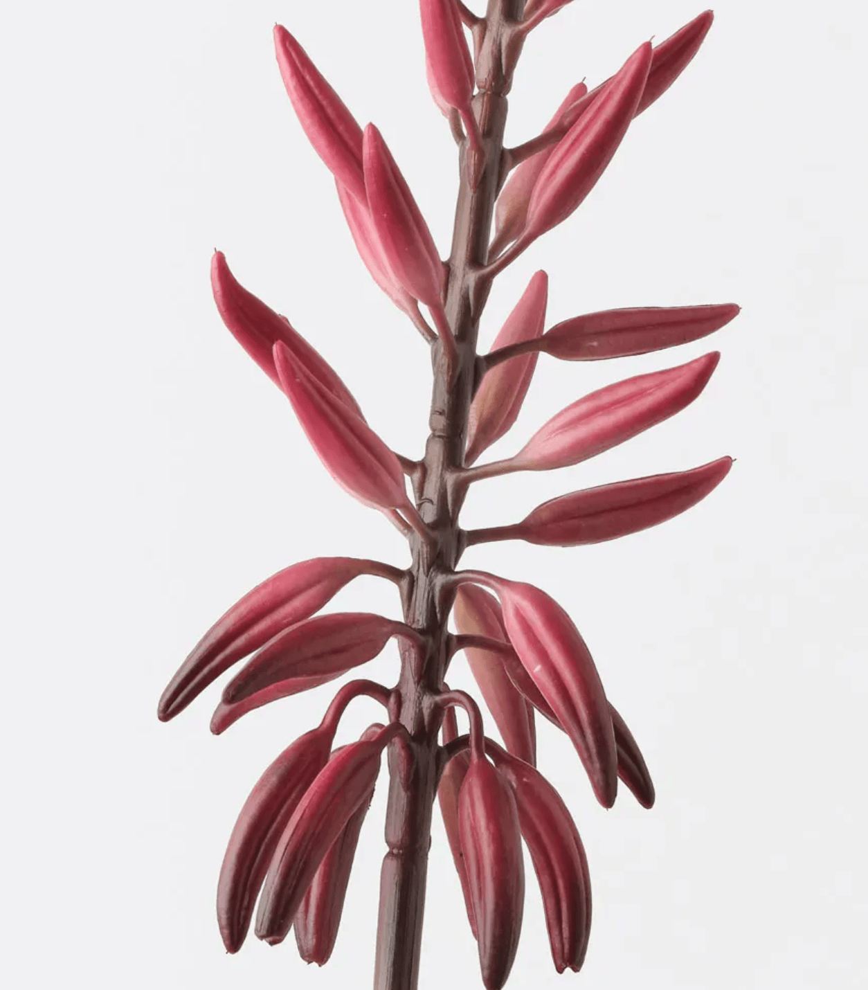 Haven & Space Berry ARTIFICAL FLOWERS 81CM / Red Agave Flowering Spray