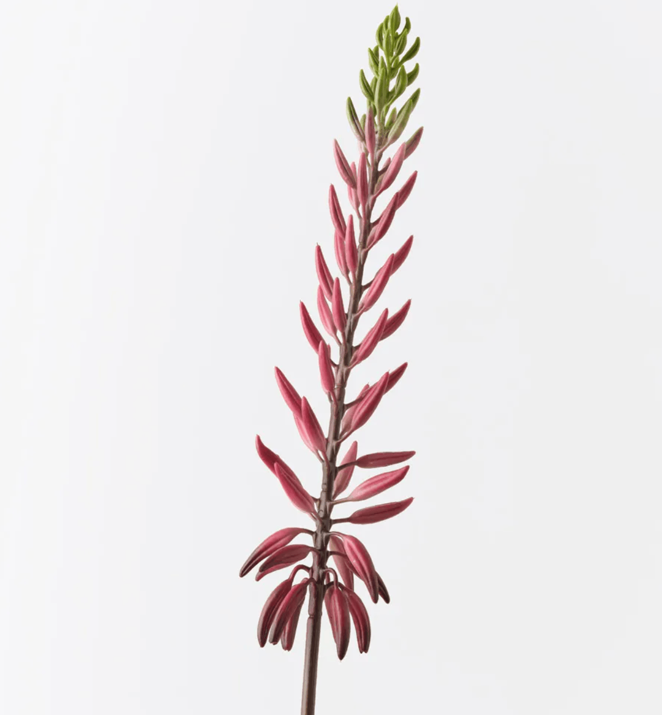 Haven & Space Berry ARTIFICAL FLOWERS 81CM / Red Agave Flowering Spray