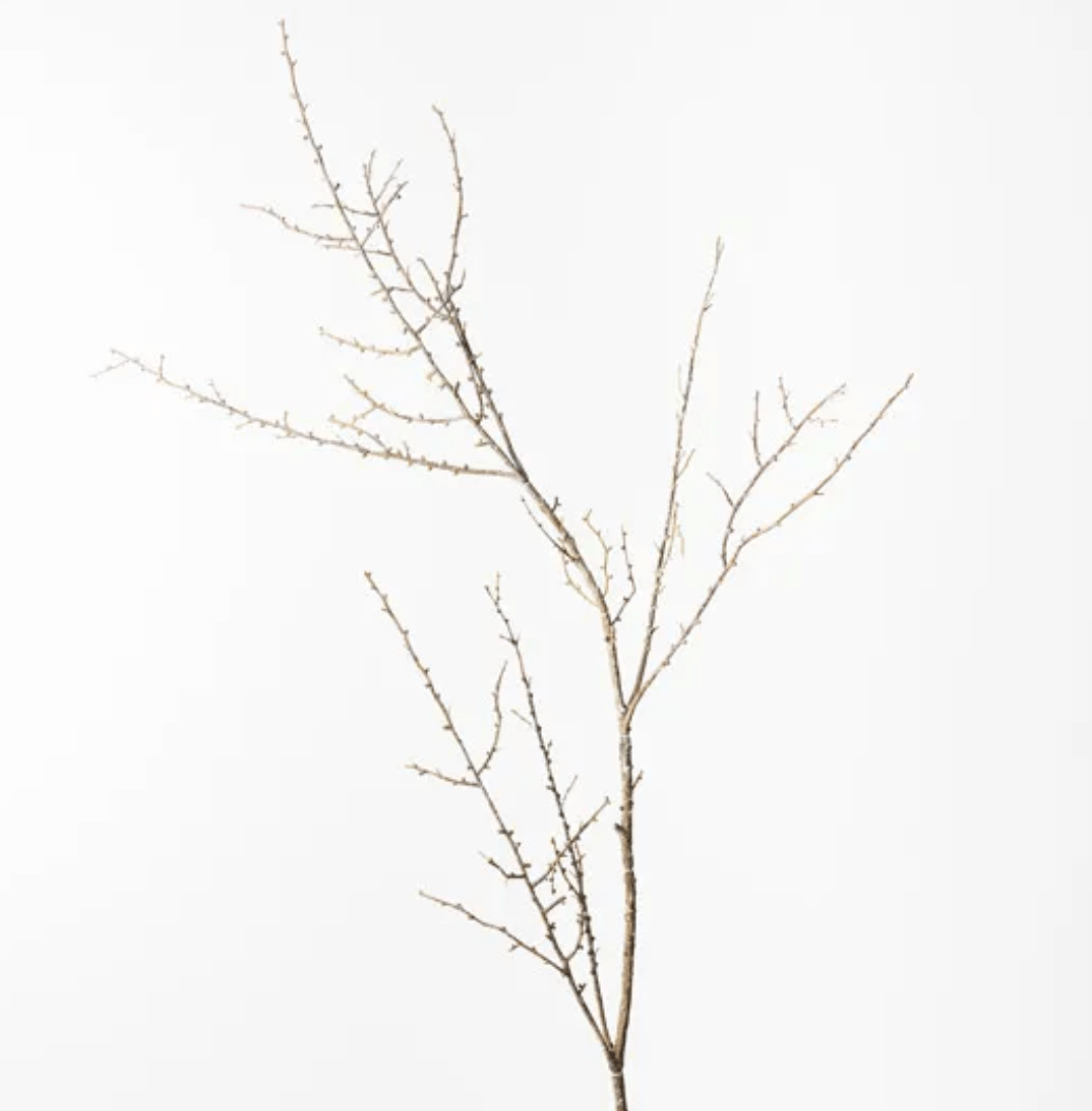 Haven & Space Berry ARTIFICAL FLOWERS 86cml / Brown Twig Spray