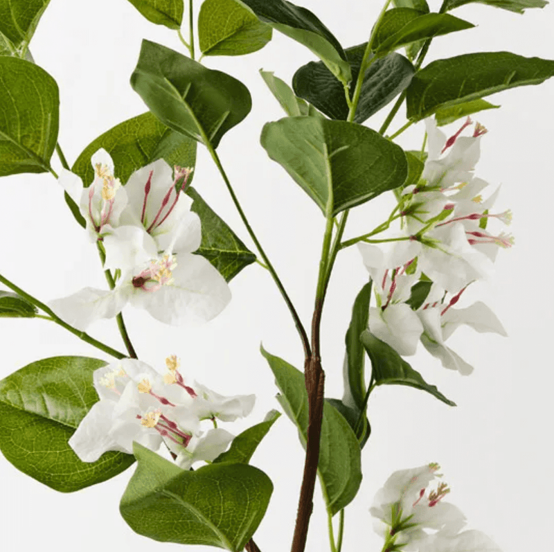 Haven & Space Berry ARTIFICAL FLOWERS 86cml / White Bougainvillea Spray