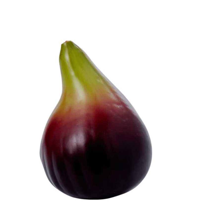 Haven & Space Berry ARTIFICAL FLOWERS 8CM Fig