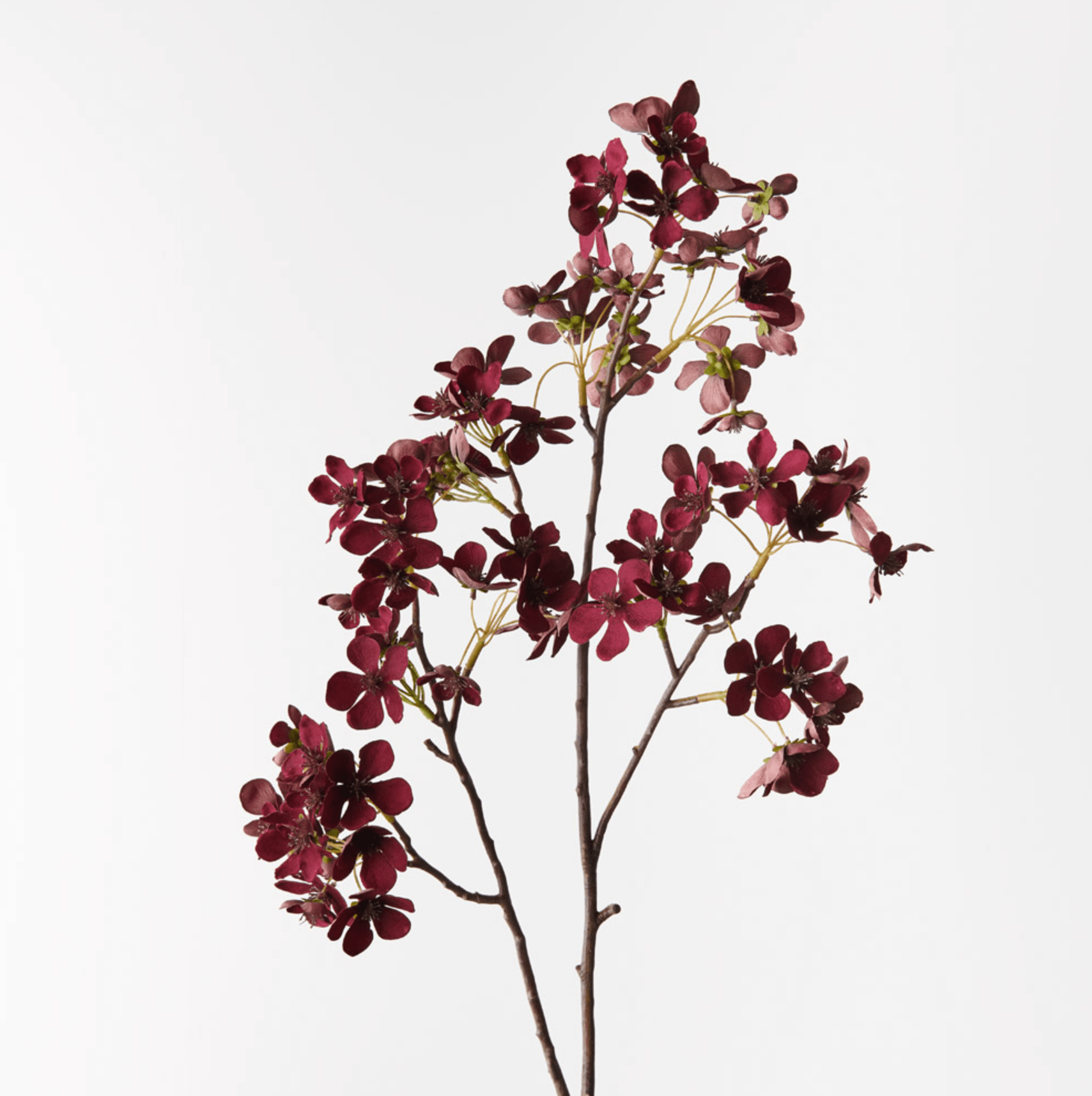 Haven & Space Berry ARTIFICAL FLOWERS 92cm / Burgundy Begonia Spray