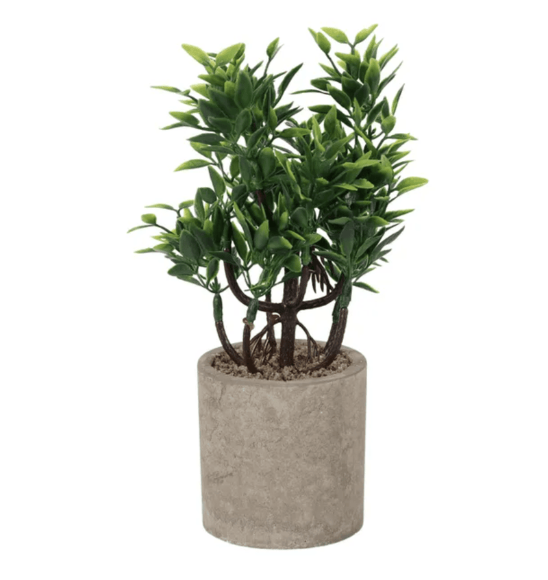 Haven & Space Berry ARTIFICAL FLOWERS Box Hedge in Pot