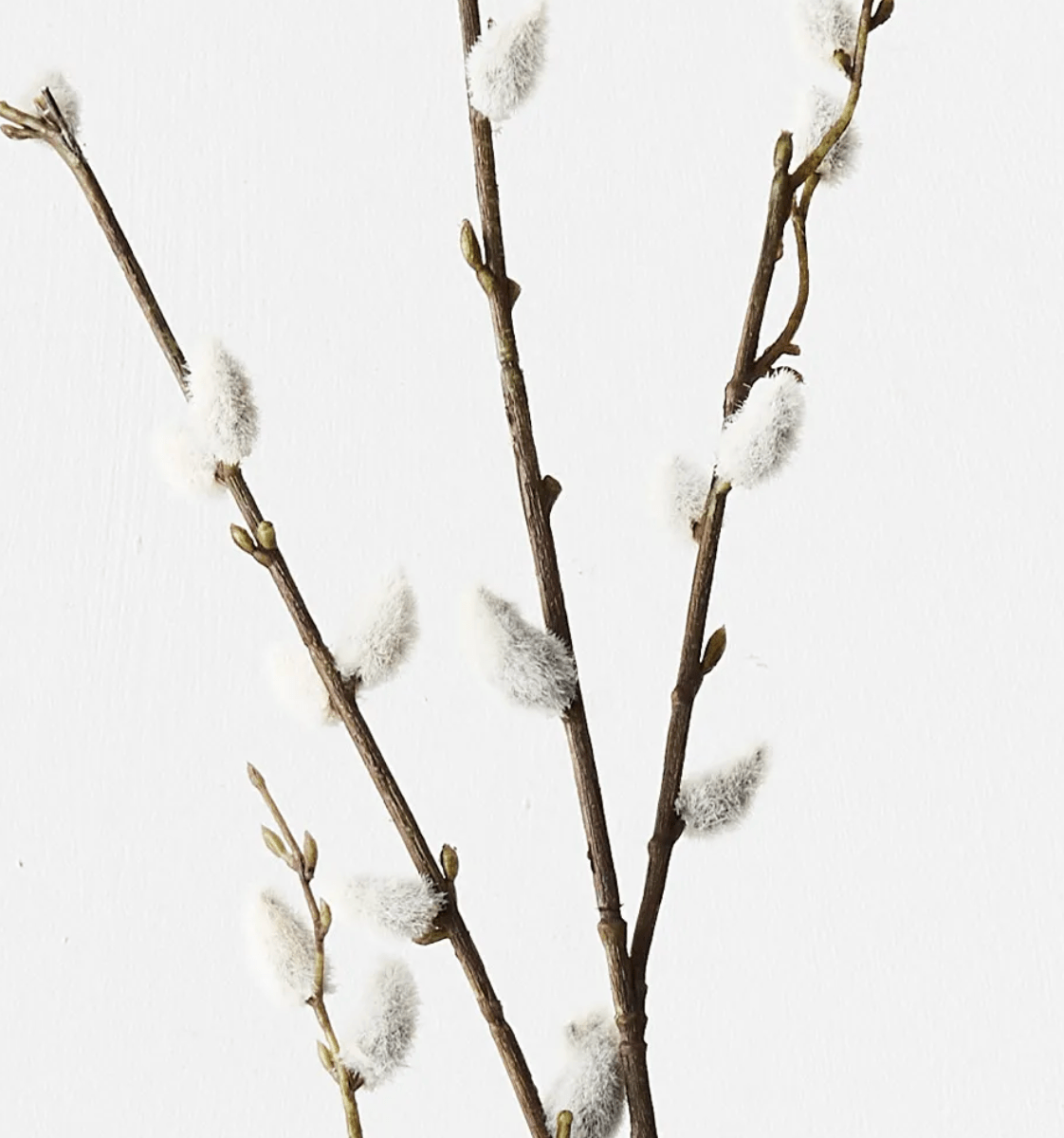 Haven & Space Berry ARTIFICAL FLOWERS Brown Pussy Willow Spray