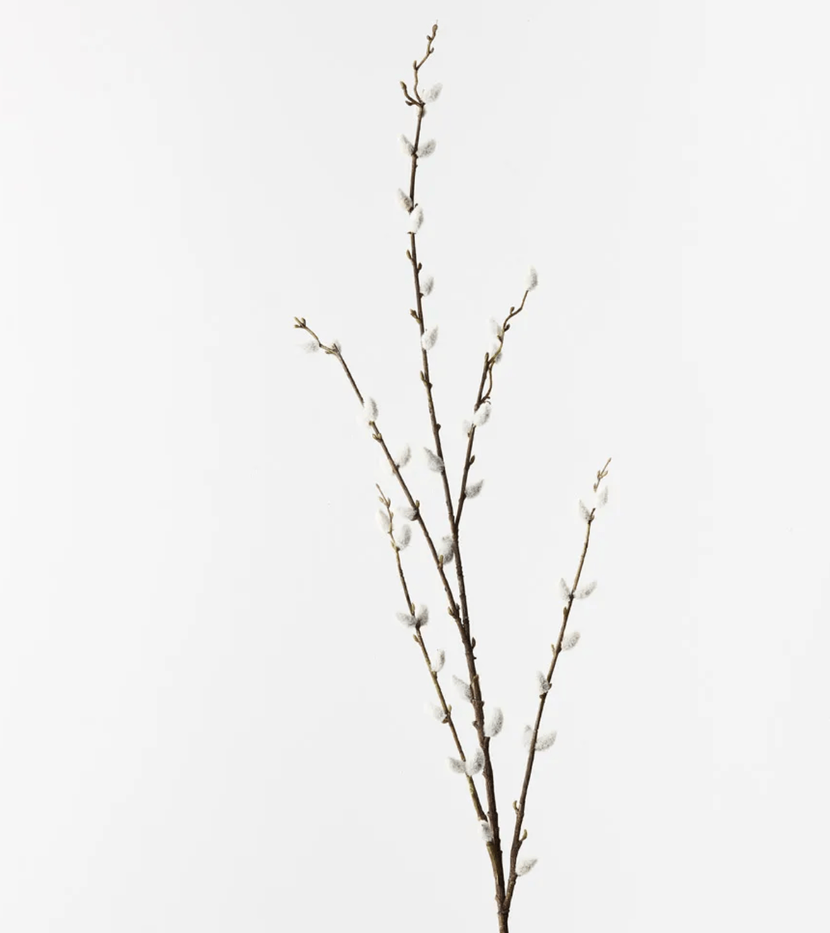 Haven & Space Berry ARTIFICAL FLOWERS Brown Pussy Willow Spray