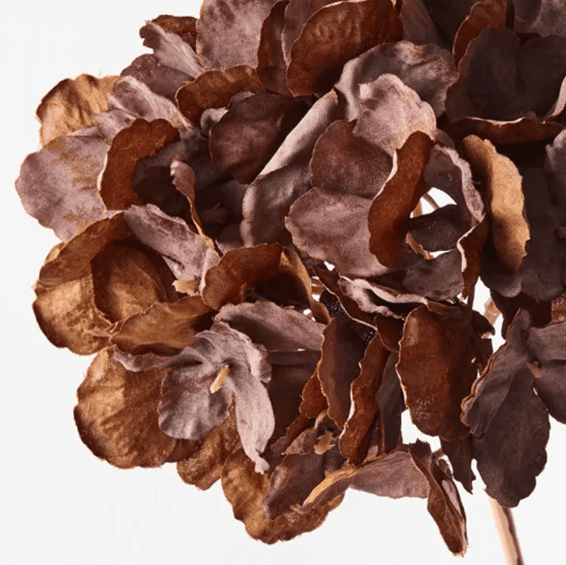 Haven & Space Berry ARTIFICAL FLOWERS Chocolate Hydrangea Flower Leafless