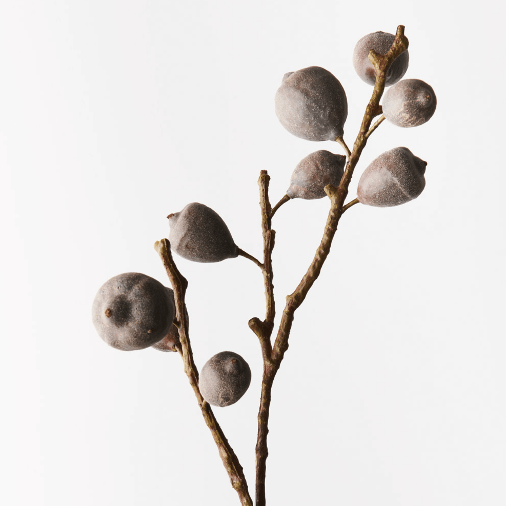 Haven & Space Berry ARTIFICAL FLOWERS Coffee Fig Spray