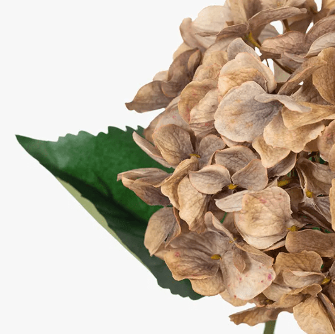 Haven & Space Berry ARTIFICAL FLOWERS Coffee Hydrangea Flower