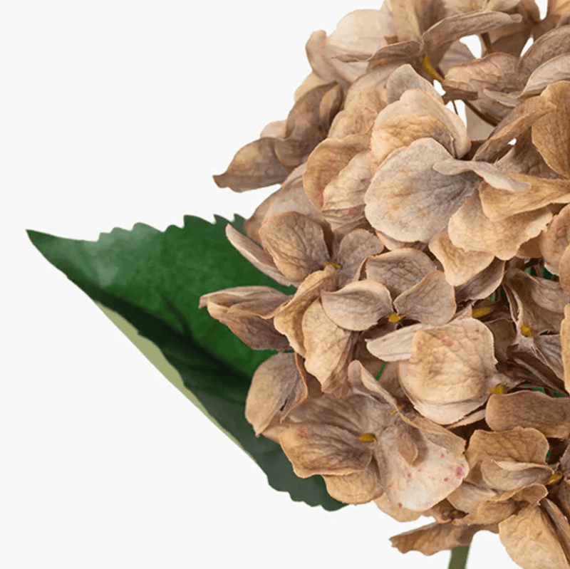 Haven & Space Berry ARTIFICAL FLOWERS Coffee Hydrangea Flower