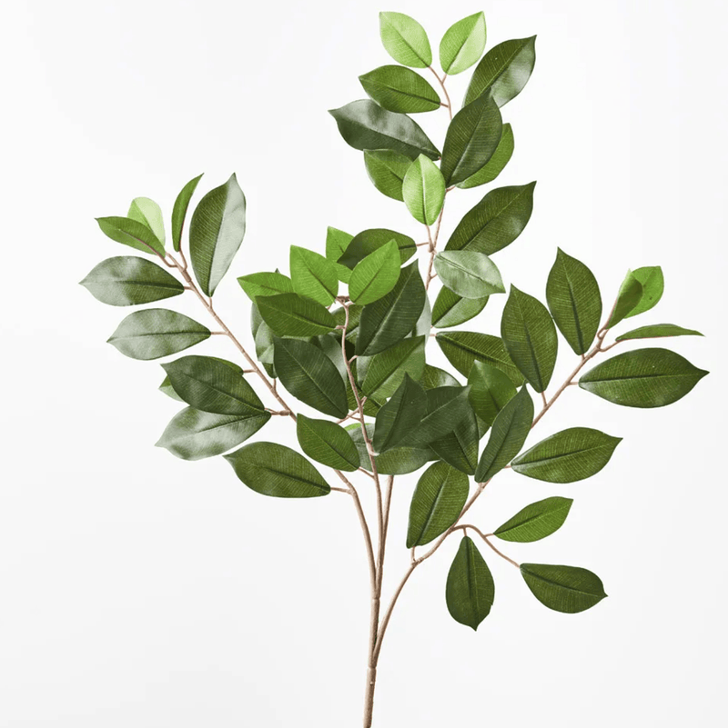 Haven & Space Berry ARTIFICAL FLOWERS Ficus Retusa Leaf Spray
