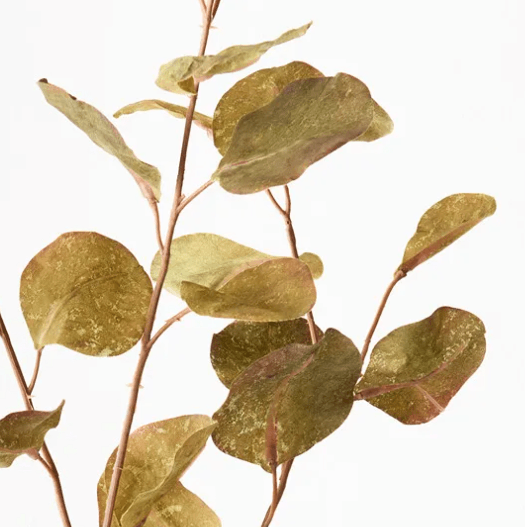 Haven & Space Berry ARTIFICAL FLOWERS Green Eucalyptus Spray