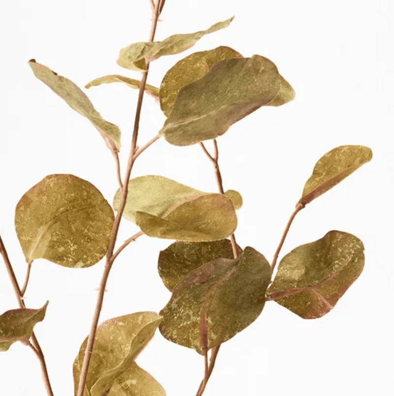 Haven & Space Berry ARTIFICAL FLOWERS Green Eucalyptus Spray