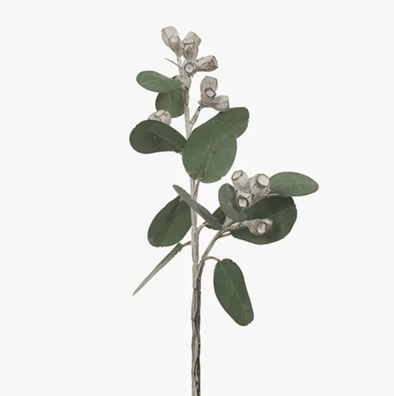 Haven & Space Berry ARTIFICAL FLOWERS Green Eucalyptus Tetragona Spray