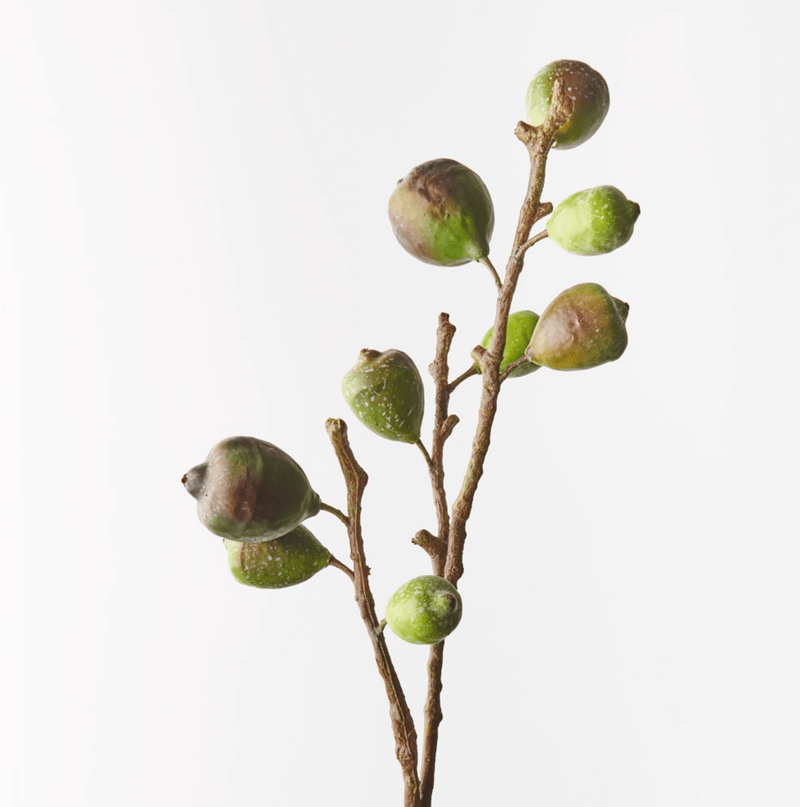 Haven & Space Berry ARTIFICAL FLOWERS Green Fig Spray