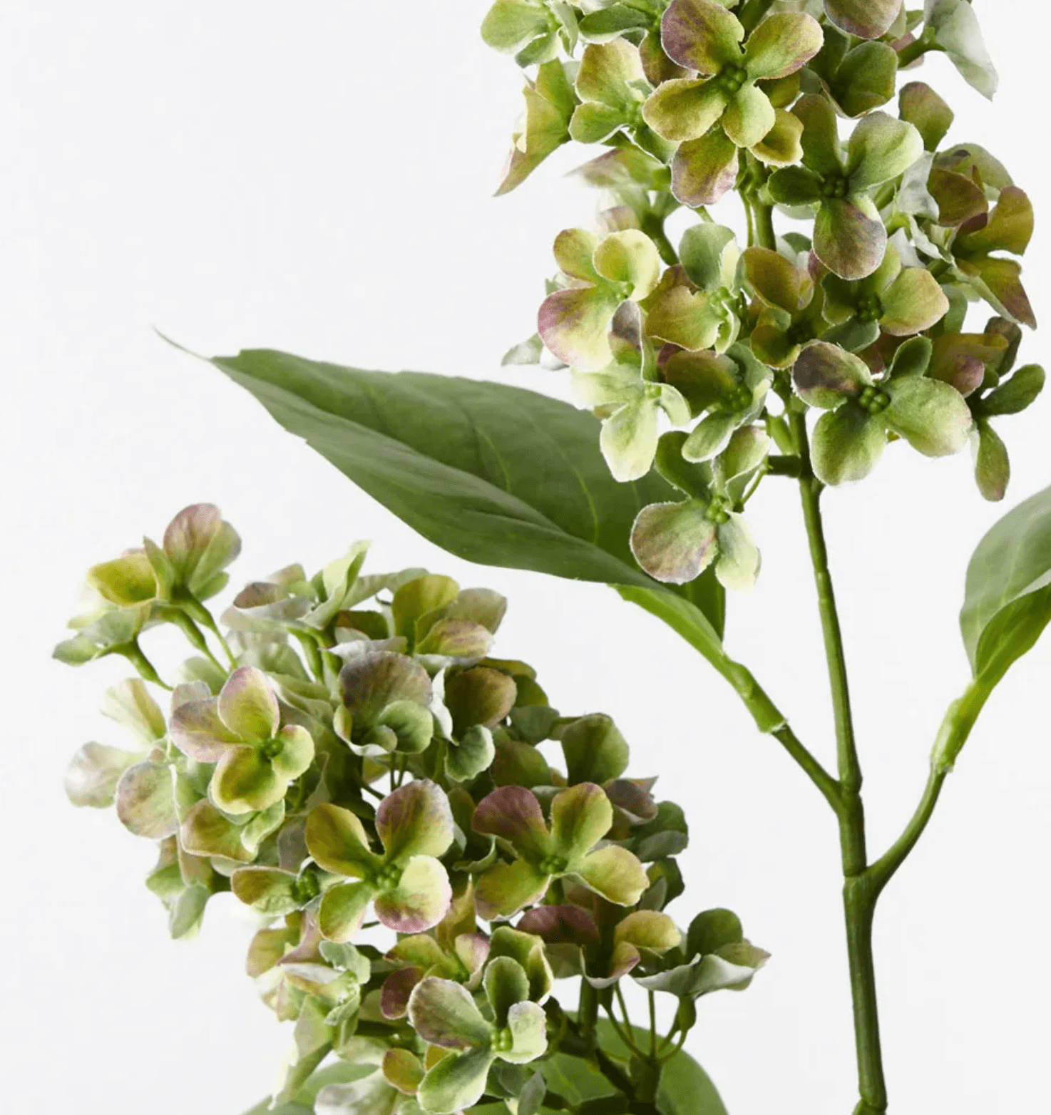 Haven & Space Berry ARTIFICAL FLOWERS Green/Purple Hydrangea Cone Spray