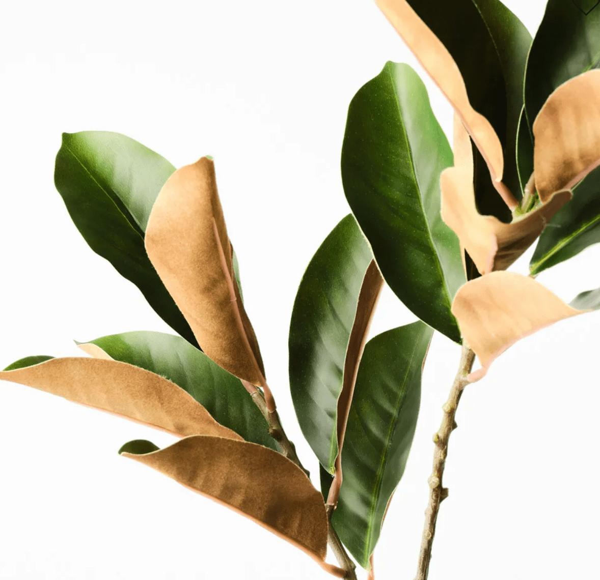 Haven & Space Berry ARTIFICAL FLOWERS Magnolia Leaf Spray