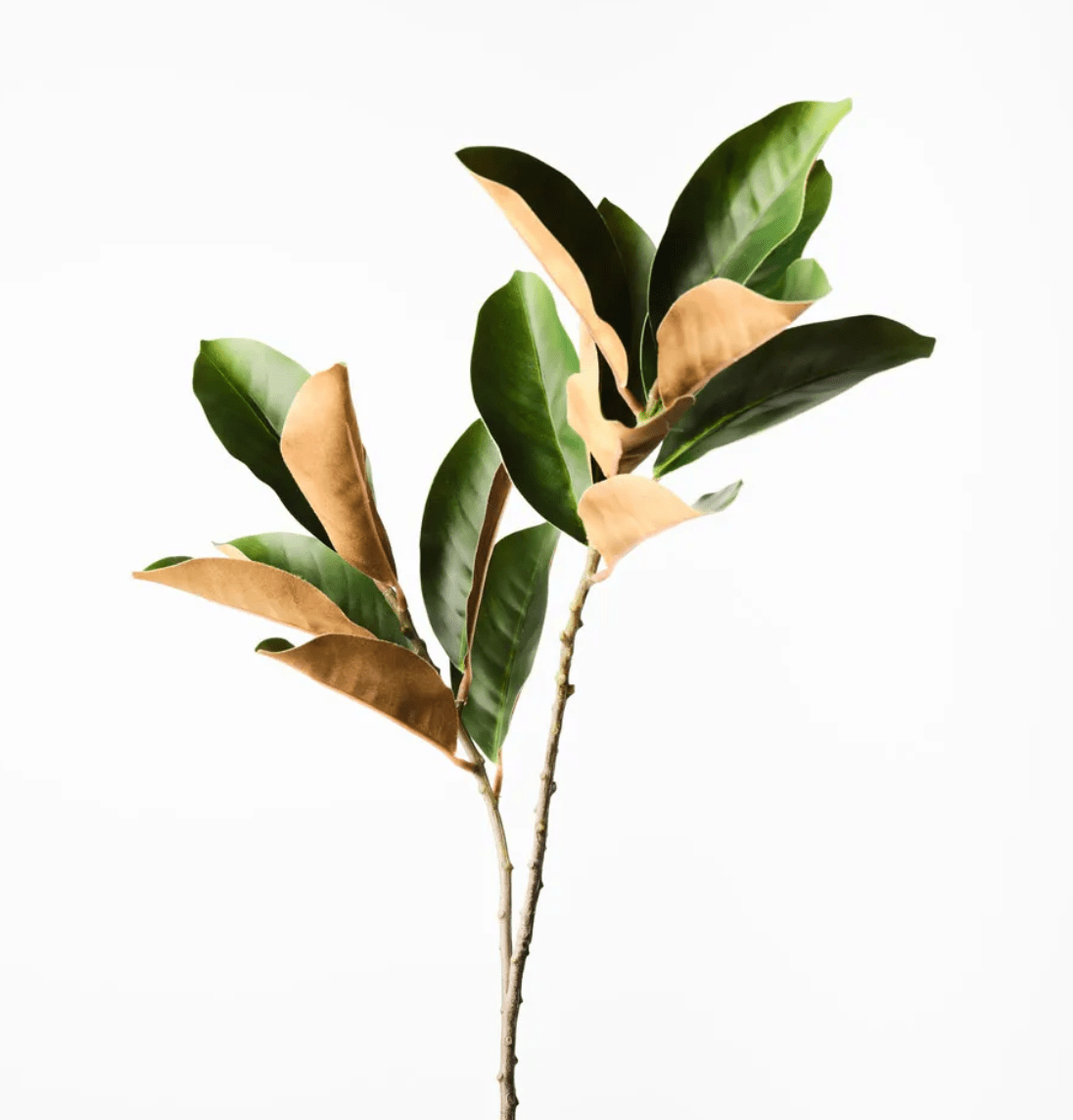 Haven & Space Berry ARTIFICAL FLOWERS Magnolia Leaf Spray