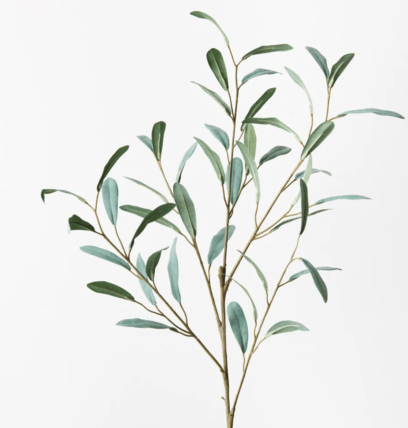 Haven & Space Berry ARTIFICAL FLOWERS Olive Leaf Spray