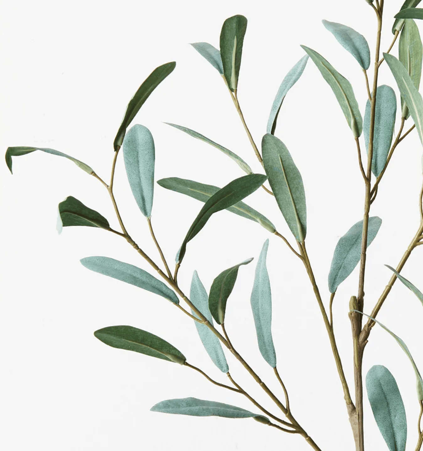 Haven & Space Berry ARTIFICAL FLOWERS Olive Leaf Spray