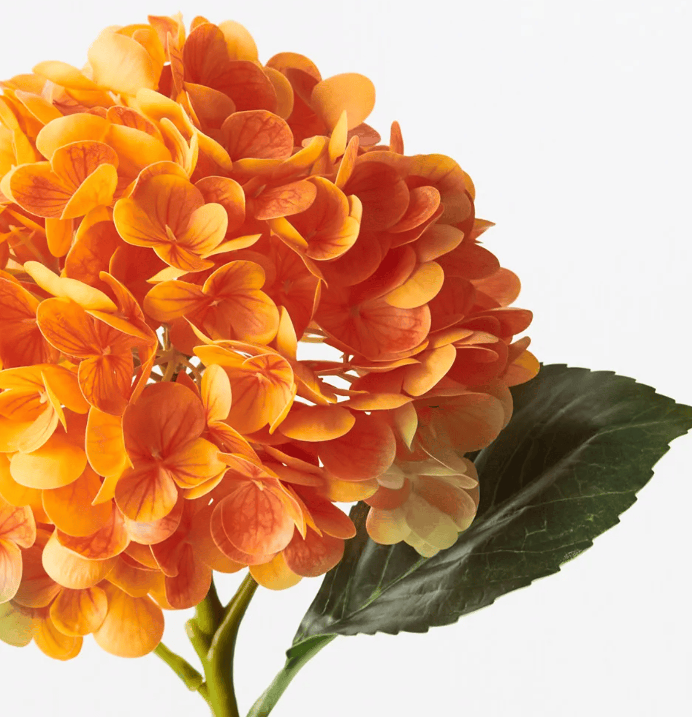 Haven & Space Berry ARTIFICAL FLOWERS Orange Hydrangea