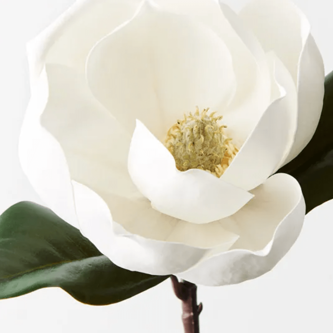 Haven & Space Berry ARTIFICAL FLOWERS White Magnolia