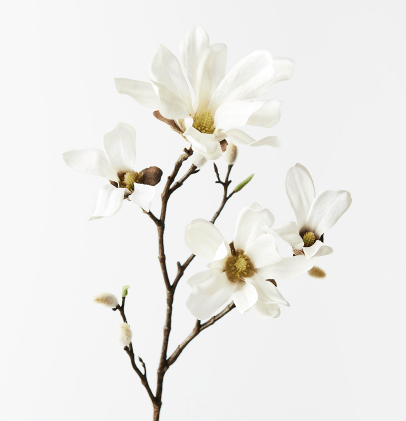 Haven & Space Berry ARTIFICAL FLOWERS White Magnolia Japanese Spray
