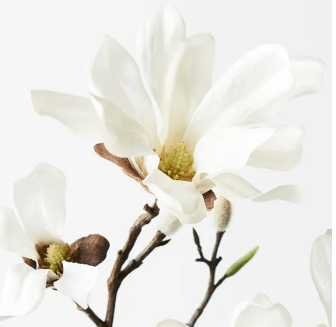Haven & Space Berry ARTIFICAL FLOWERS White Magnolia Japanese Spray