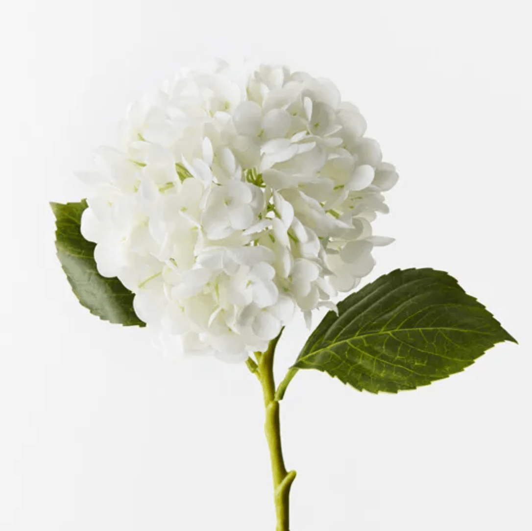 Haven & Space Berry ARTIFICAL FLOWERS Winter White Hydrangea