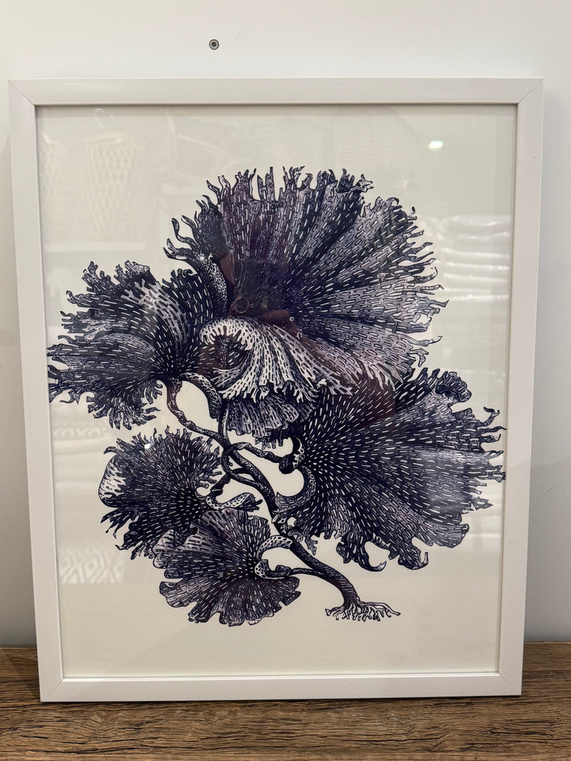 Haven & Space Berry CANVAS 40x50CM Capri Framed Print